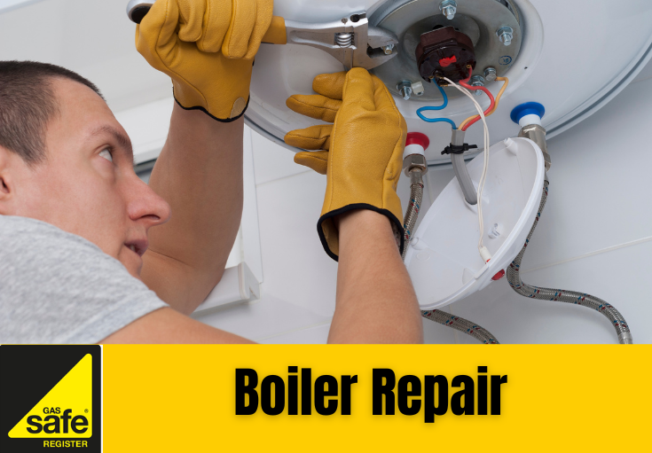 boiler repair Cuxton